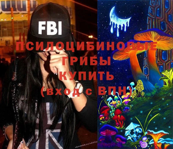 2c-b Абинск