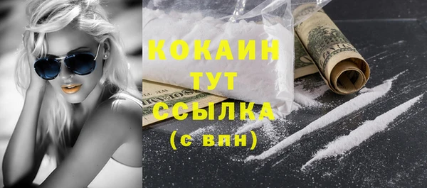 дживик Мурманск