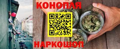 крисы Свободный