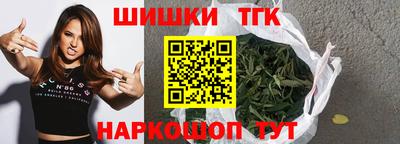 индика Дубна