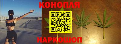 гидра Донецк