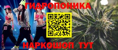 индика Дубна