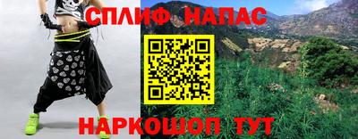 индика Дубна