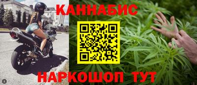 индика Дубна