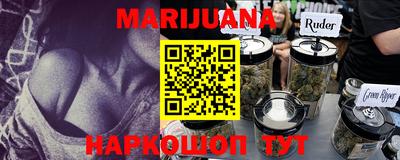 индика Дубна