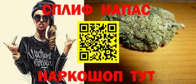 индика Дубна