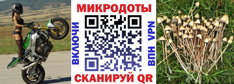 Галлюциногенные грибы мухоморы  Нефтеюганск 